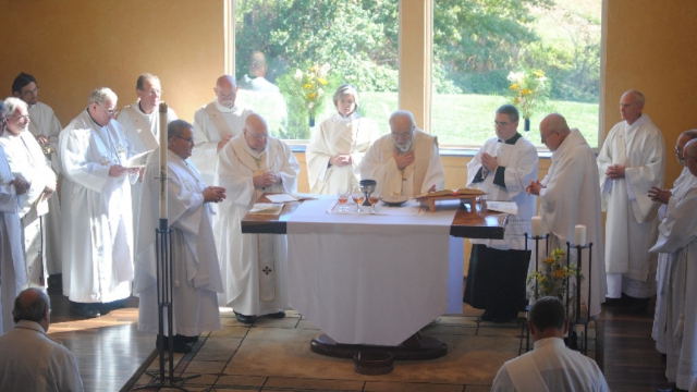 Concelebrated 2013 Synod Mass
